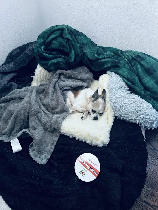 Mike's Dog Store 12
