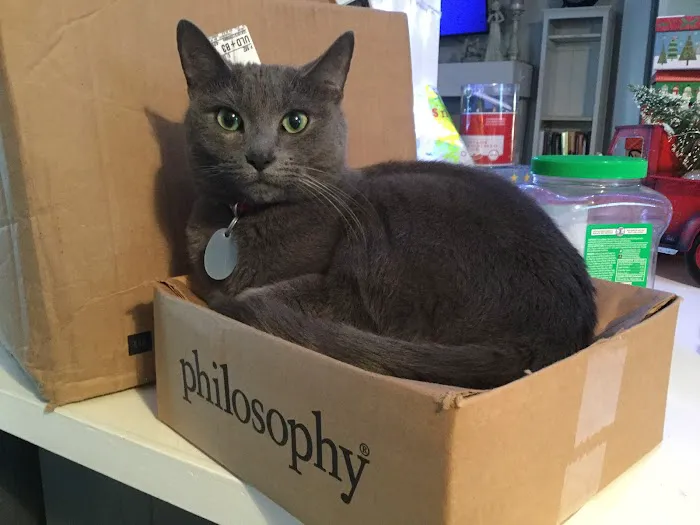 Veterinary Wellness Clinic of Spring Hill 4