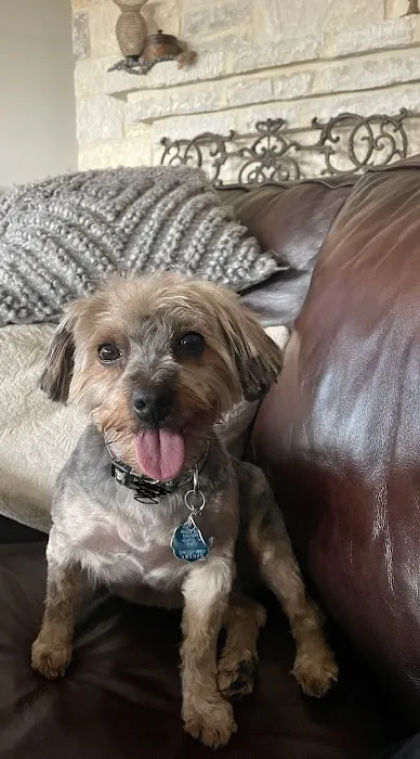 Petco 1