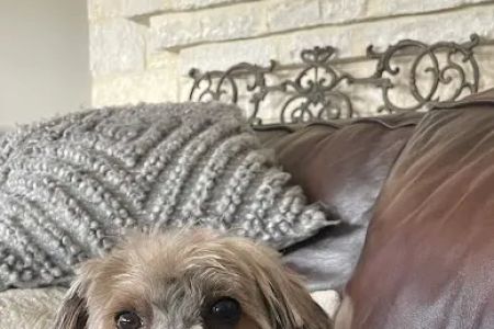 Petco
