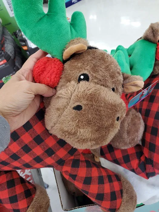Petco 5
