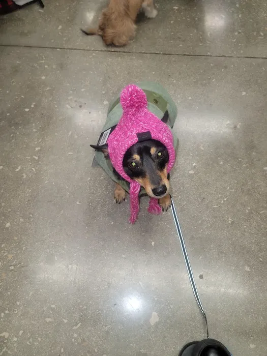 Petco 3