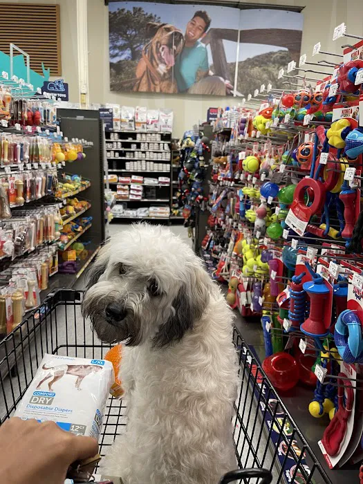 Petco 10