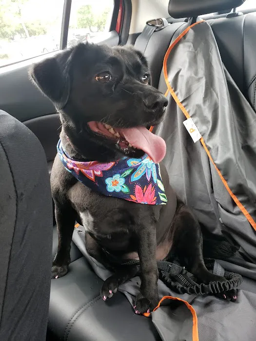 Petco 7