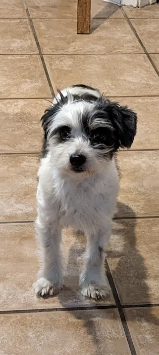 Petco 8