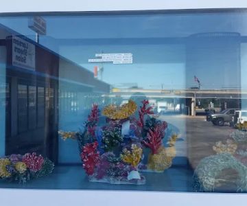 Aquarium Designs