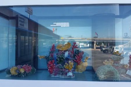 Aquarium Designs