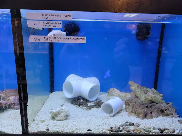 Aquarium Designs 9