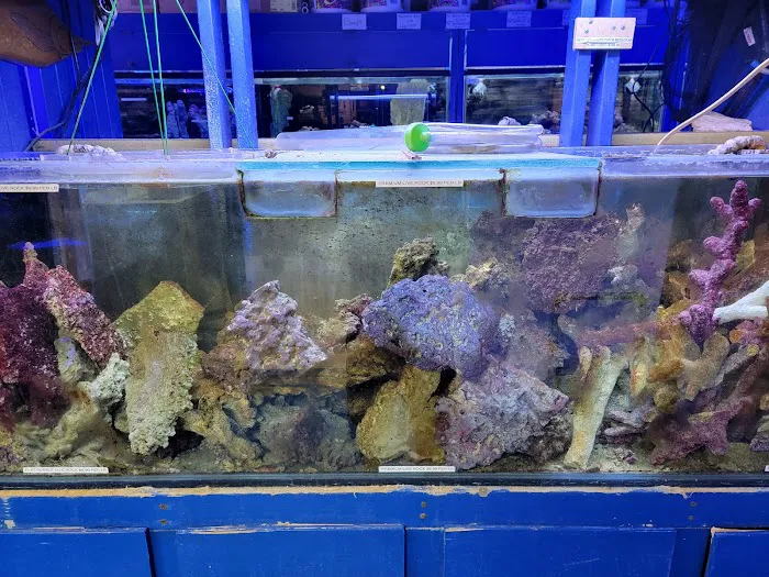 Aquarium Designs 7