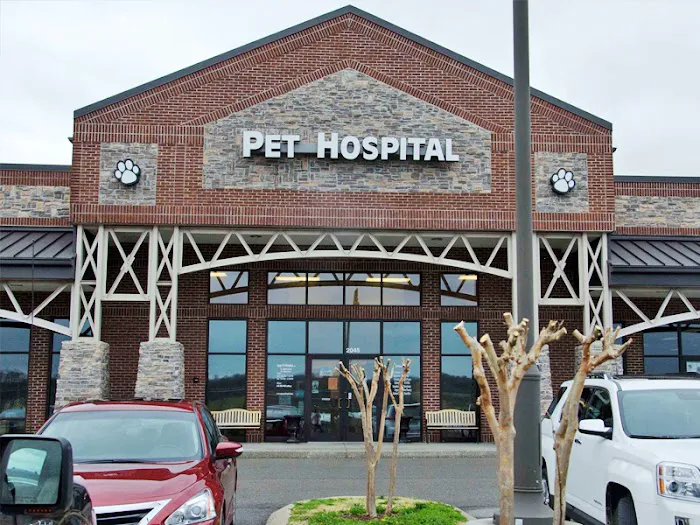 Agape Pet Hospital 10