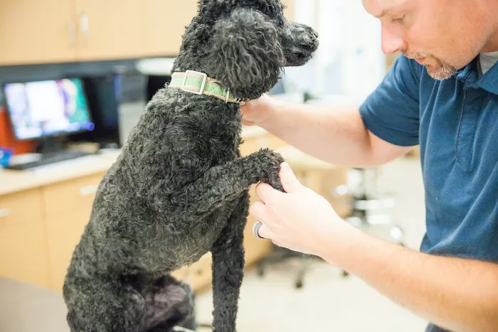 Lighthouse Veterinary Allergy & Dermatology 2