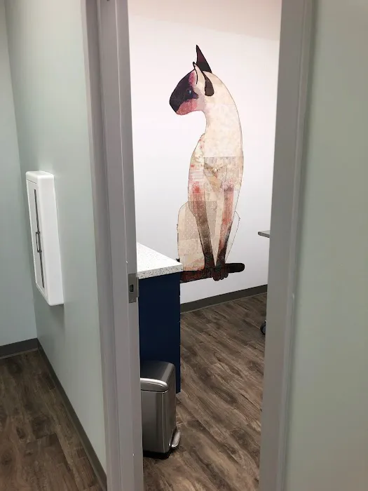 Lighthouse Veterinary Allergy & Dermatology 9