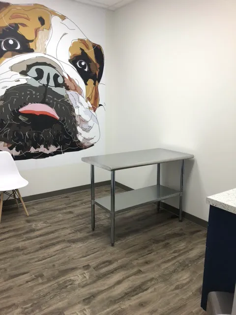 Lighthouse Veterinary Allergy & Dermatology 8