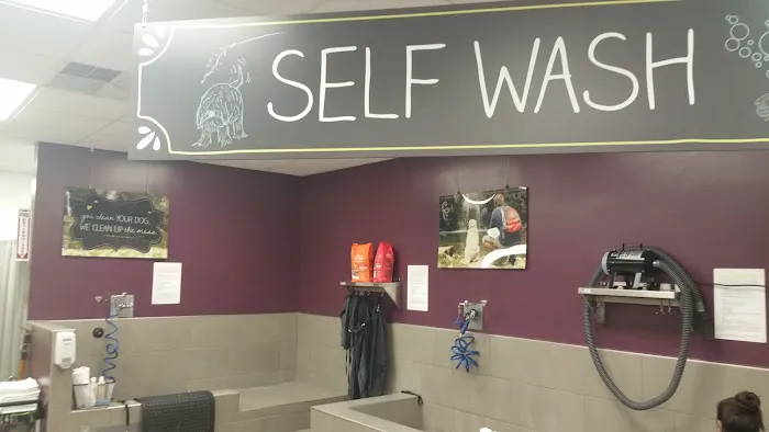 Petco 1