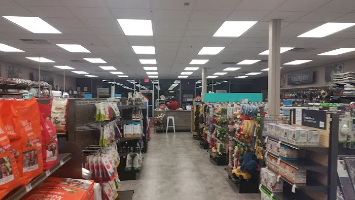 Petco 10