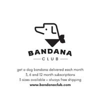Bandana Club ico