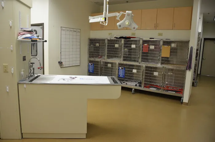 All Pets Health Center 4