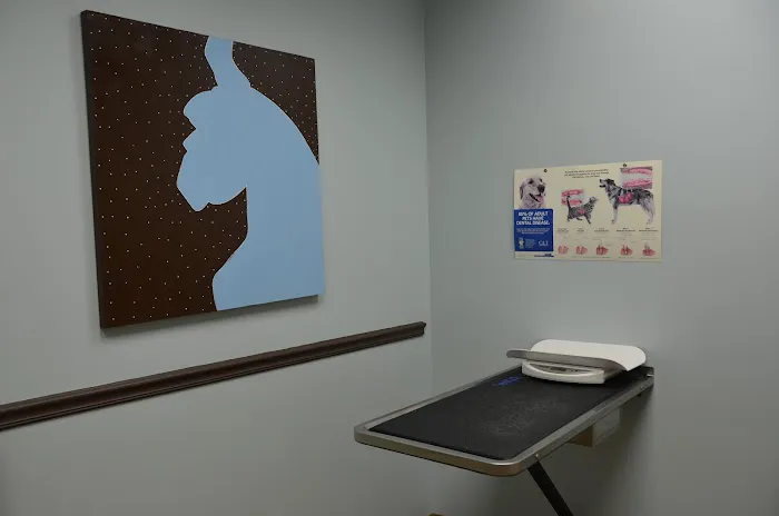 All Pets Health Center 2