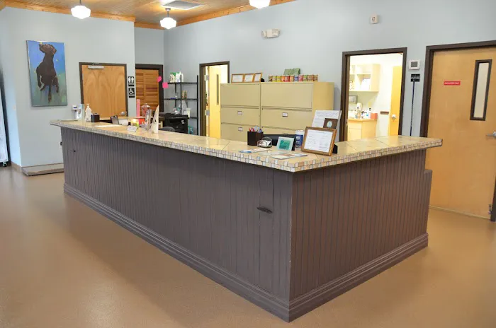 All Pets Health Center 6