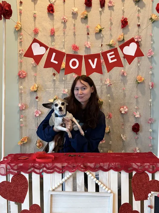 All Pets Health Center 1
