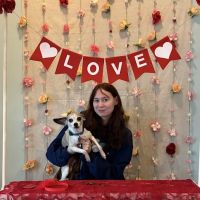 All Pets Health Center ico