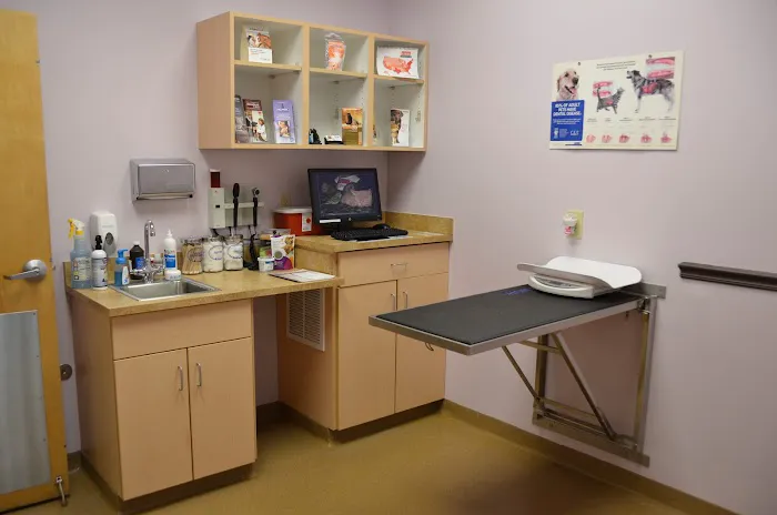 All Pets Health Center 8
