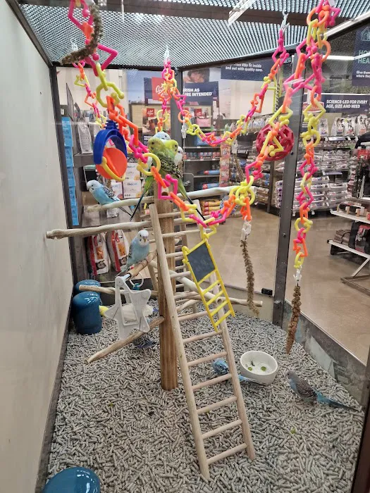 Petco 12