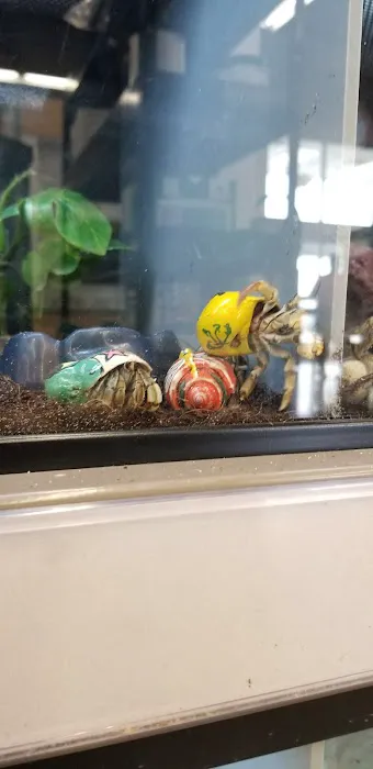 Petco 12