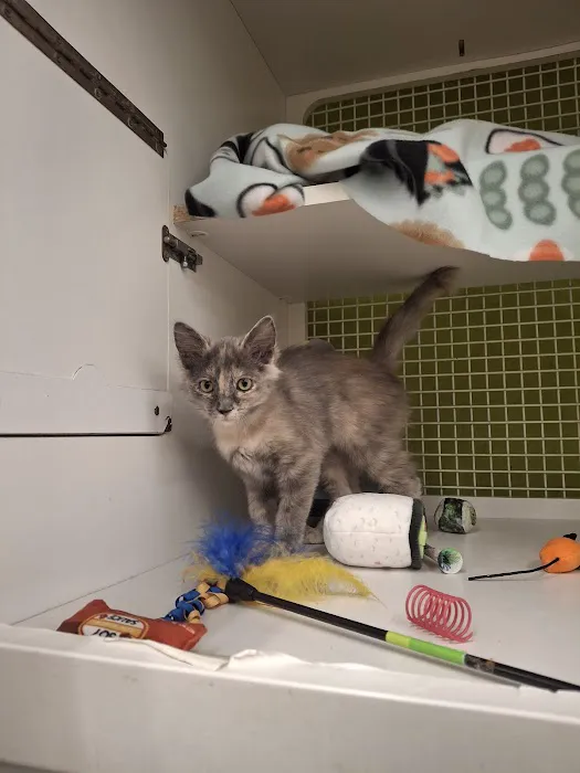 Petco 12