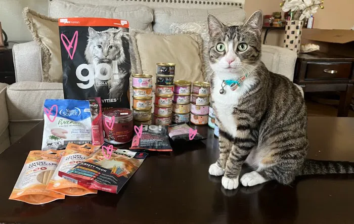 Healthy Paws & Co. Formerly Oli’s Pet Stuff 1