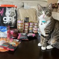 Healthy Paws & Co. Formerly Oli’s Pet Stuff ico