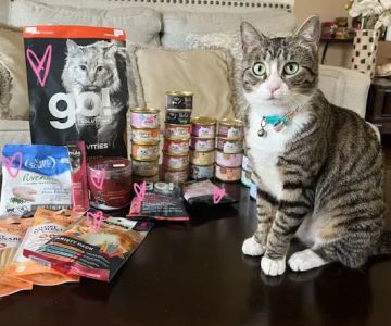 Healthy Paws & Co. Formerly Oli’s Pet Stuff
