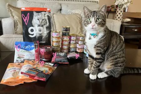Healthy Paws & Co. Formerly Oli鈥檚 Pet Stuff