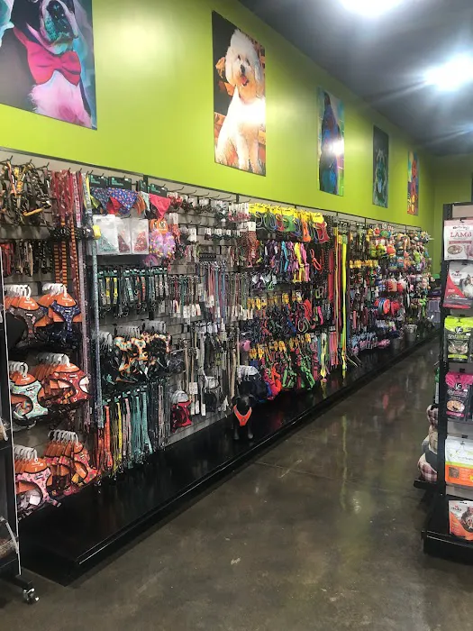Healthy Paws & Co. Formerly Oli’s Pet Stuff 7