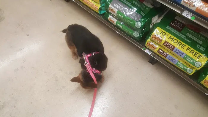 Petco 12