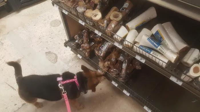 Petco 12