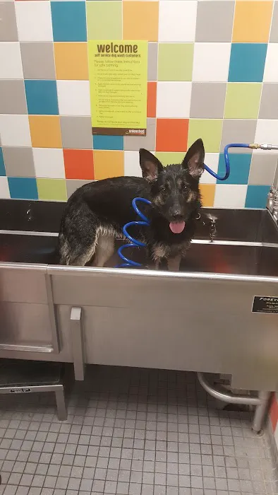 Petco 12