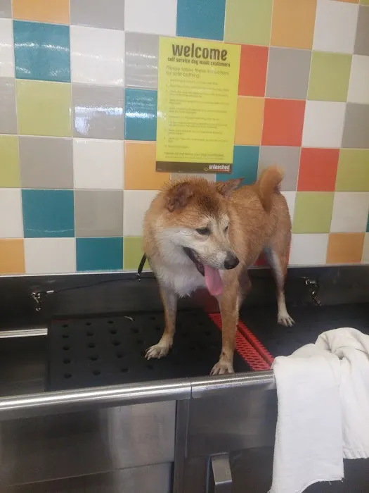 Petco 12