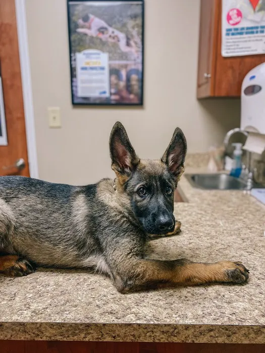 Animal Care Center of Carters Creek 3