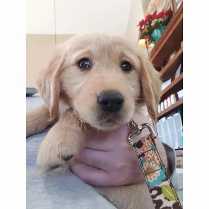 Animal Care Center of Carters Creek 7