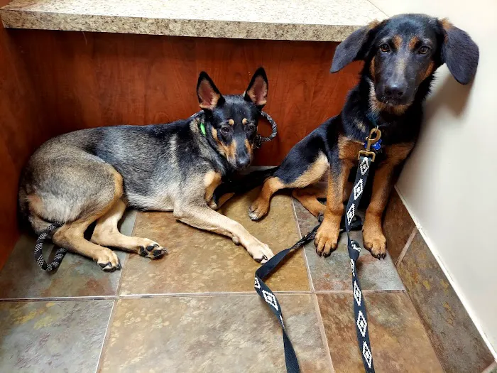 Animal Care Center of Carters Creek 8