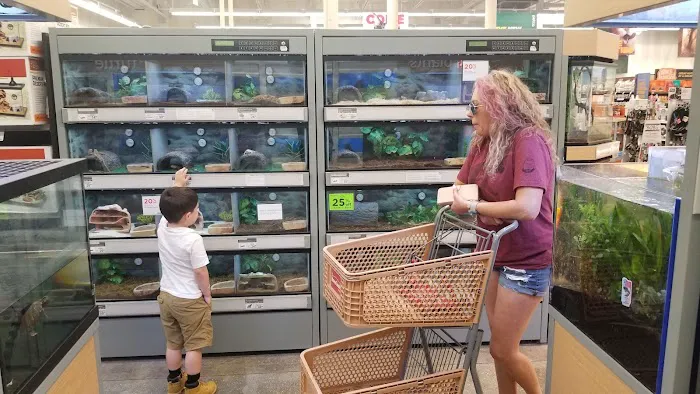 Petco 3