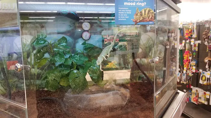 Petco 5