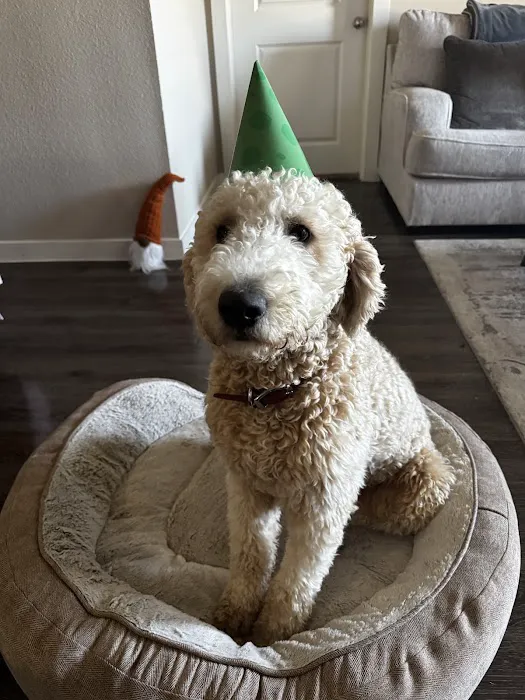 Petco 4