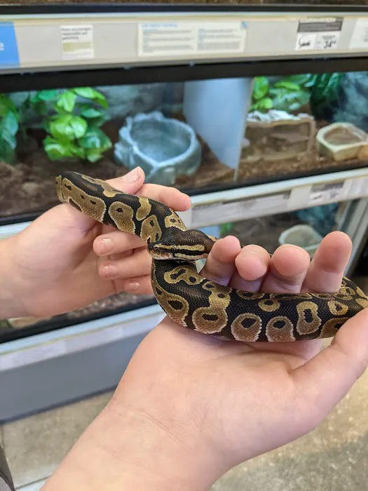 Petco 9
