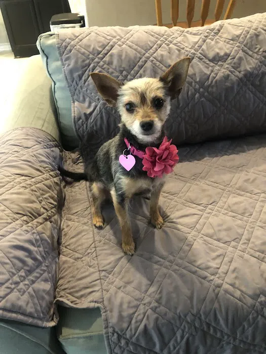 Petco 8