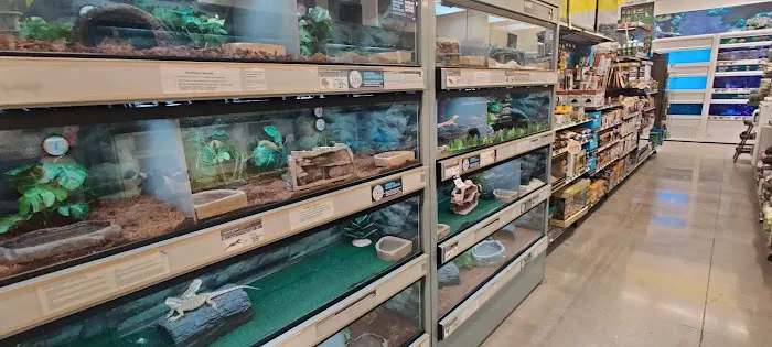 Petco 10