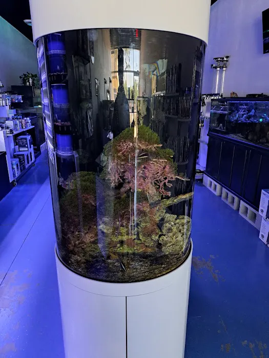 Sea Hare Aquatics 3