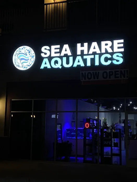 Sea Hare Aquatics 6