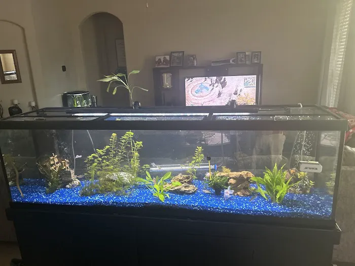 Sea Hare Aquatics 1
